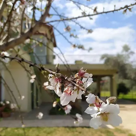 Ktima Anastasia Maisonette In Nature Ναύπλιο
