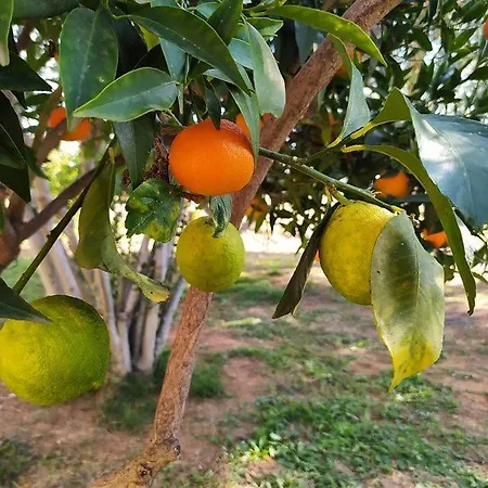 Ktima Anastasia Maisonette In Nature Διαμέρισμα
