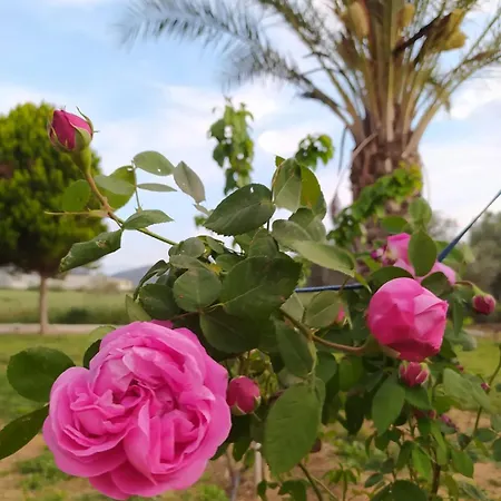 Ktima Anastasia Maisonette In Nature Διαμέρισμα Ναύπλιο