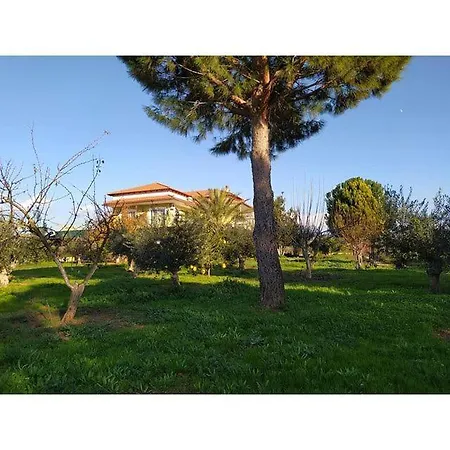 Διαμέρισμα Ktima Anastasia Maisonette In Nature *